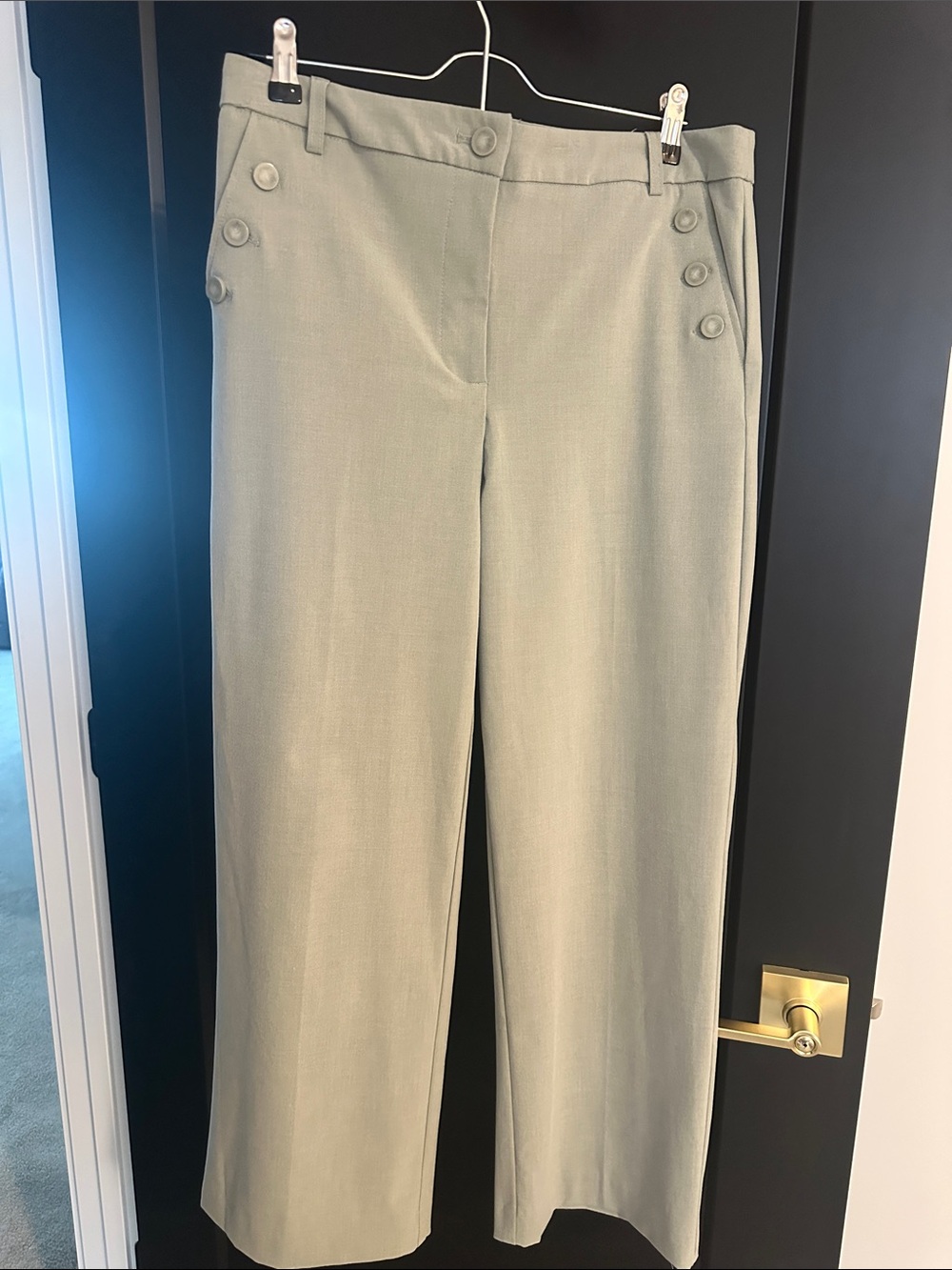 Rachel Zoe Wide-Leg Ankle crop Pants in Sage